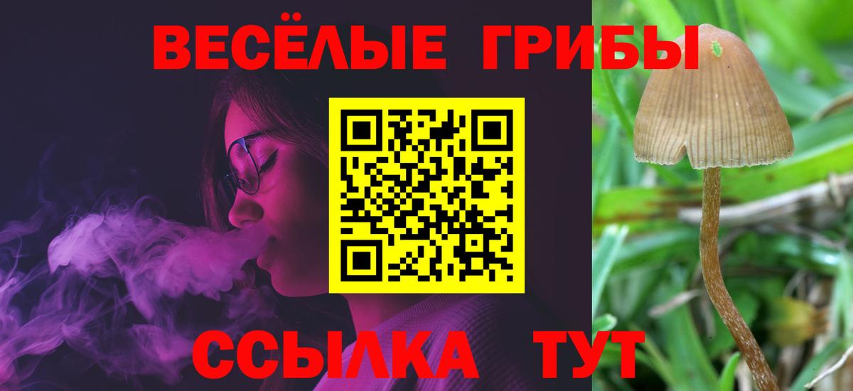 Воскресенск  Псилоцибиновые грибы Psilocybe  Вход с VPN  Псилоцибиновые грибы мицелий 
